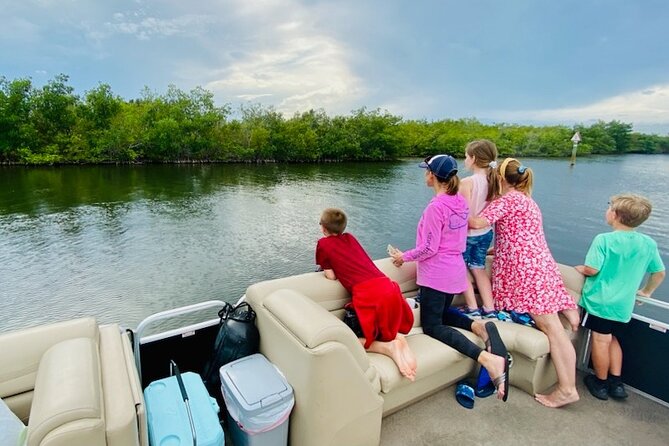 Dolphin/Manatee Pontoon Boat Tour with Local Expert - Indian River Shores: dolphins, manatees, and birds up close
