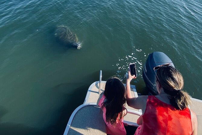 Dolphin/Manatee Pontoon Boat Tour with Local Expert - Meeting at 4:00 pm near Merritt Island Causeway