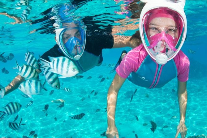 Dolphin Mini Cruise at Playa del Carmen - Price and Value: Is $42.05 a Fair Deal?