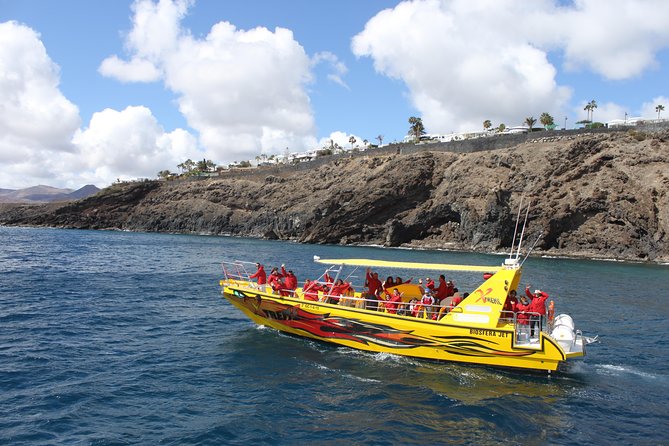 Dolphin Mini Cruise at Playa del Carmen - Dolphin and Whale Watching: Nature Is the Boss
