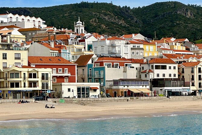 Dolphin Observation Boat Tour from Sesimbra - Who This Tour Suits Best (and Who Might Want Something Else)