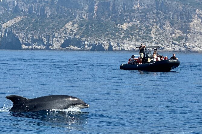 Dolphin Observation Boat Tour from Sesimbra - Meeting at Avenida dos Náufragos and Getting Ready to Look
