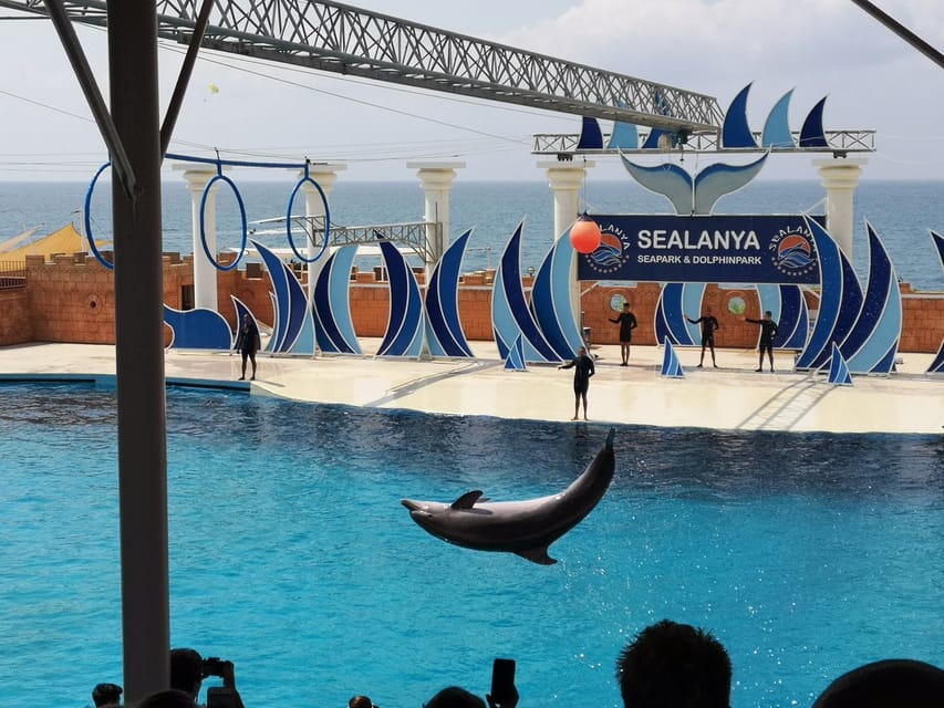 Dolphin Park Entry with Live Show and Pickup - From Your Hotel to the Park: Pickup That Actually Works
