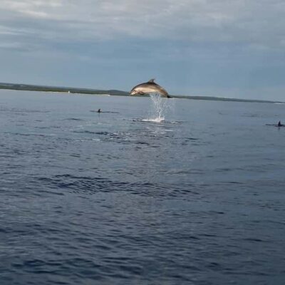 Dolphin private sunset tour Rovinj - The first speedboat leg: quick panorama time near the city