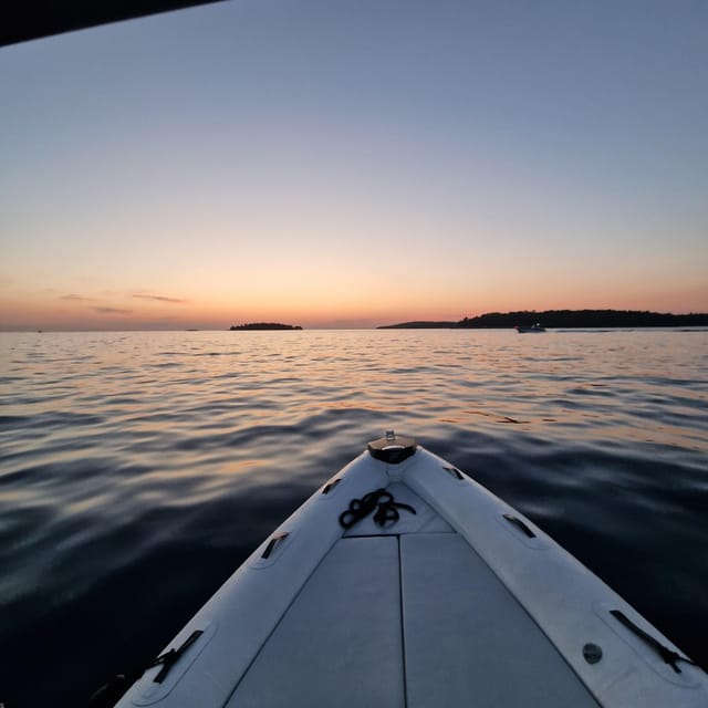 Dolphin private sunset tour Rovinj - Price and value: thinking per person, not just the sticker
