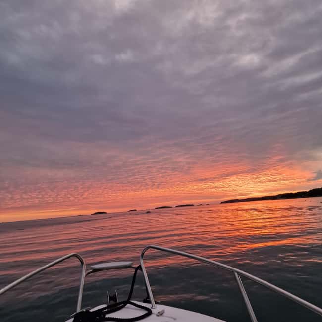 Dolphin private sunset tour Rovinj - What to bring: keep it simple, stay comfortable