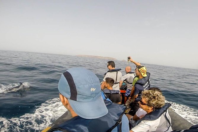 Dolphin Route - Cabo Carvoeiro and Meia Via: how the cruise flows