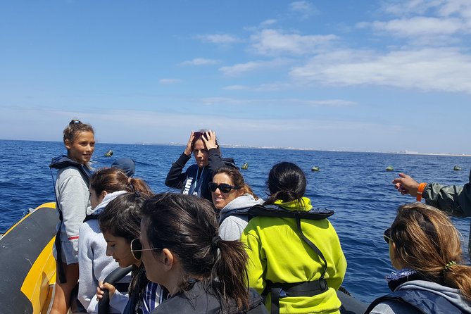 Dolphin Route - Weather and sea conditions: the biggest deciding factor