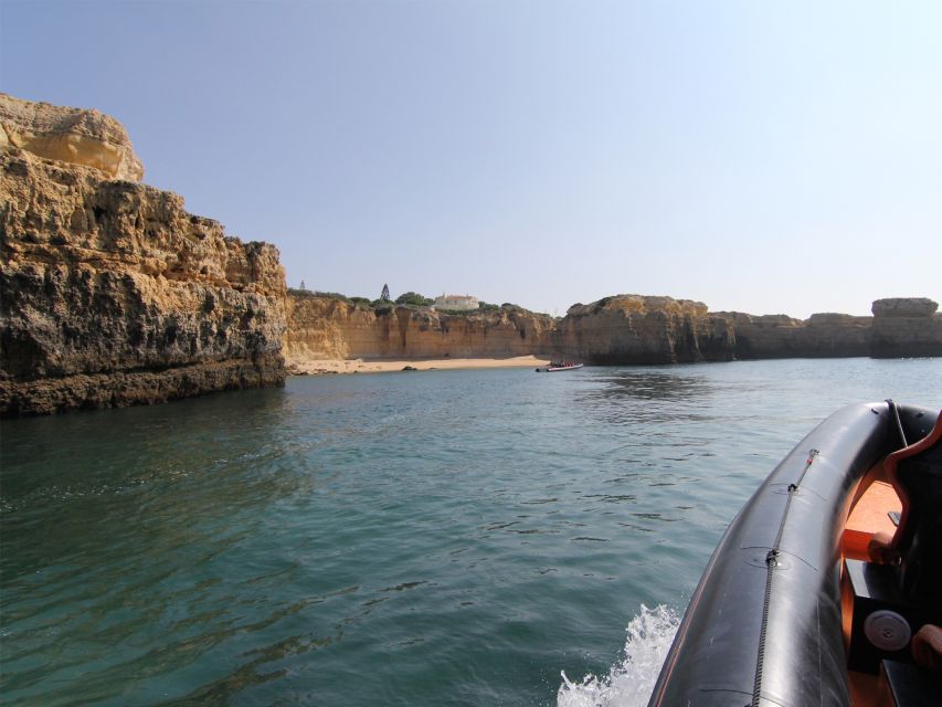 Dolphin Safari and Cave Tour in Vilamoura - Vilamoura Marina Start: what your first 15 minutes should look like