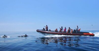 Dolphin Safari and Cave Tour in Vilamoura - The 105-minute sea cruise: exciting speed, real ocean feel, and practical comfort