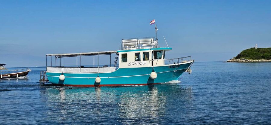 Dolphin Safari Boat Trip from Marina Funtana - Key things to know before you go