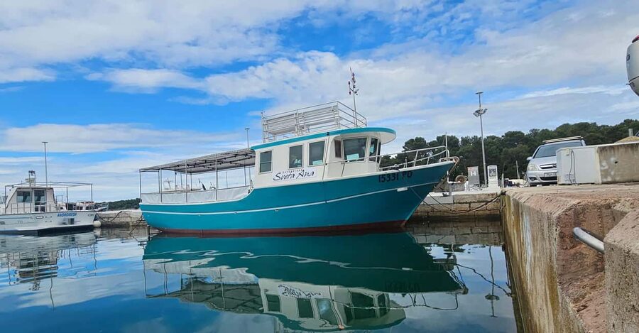Dolphin Safari Boat Trip from Marina Funtana - Drinks on board, and the comforts that make it worth it