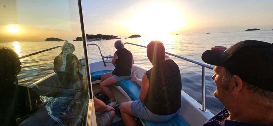 Dolphin Safari Boat Trip from Marina Funtana - When plans change: small boat versus big ship reality