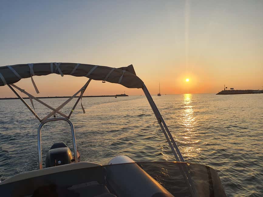 Dolphin safari every evening - What you actually do on the water (and why it feels guided)
