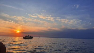 Dolphin safari every evening - Dolphin safari runs every evening from 19:00 to 20:00