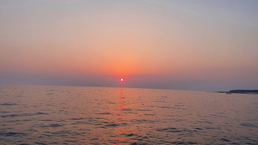 Dolphin safari every evening - Skipper training: useful even if you never drive professionally