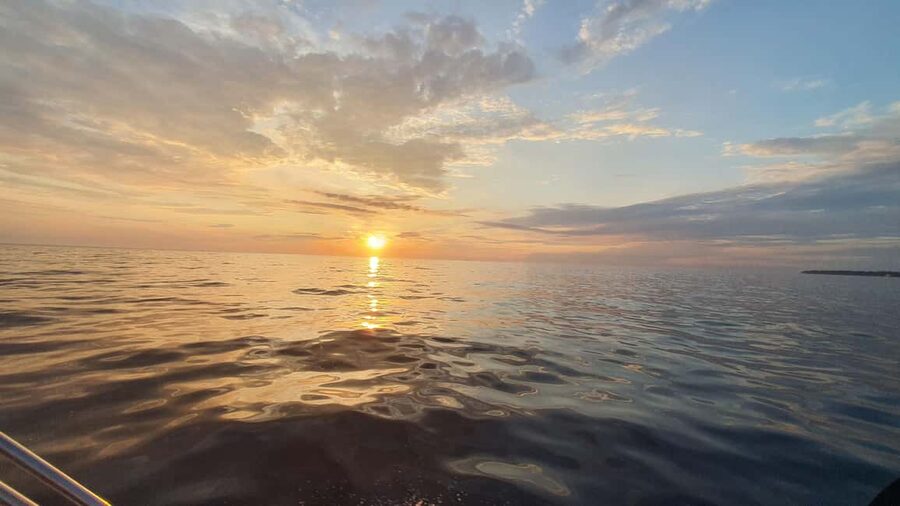 Dolphin safari every evening - Comfort details that matter: mini bar, sound system, shower