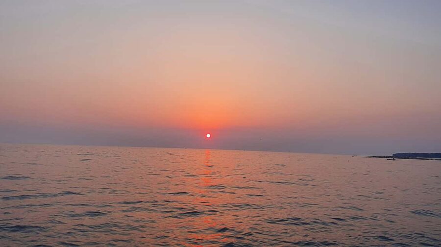 Dolphin safari every evening - Price and value: is $35 worth it?