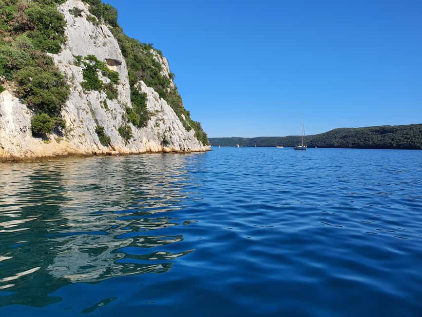 Dolphin safari every morning&evening - Key points that make this safari work