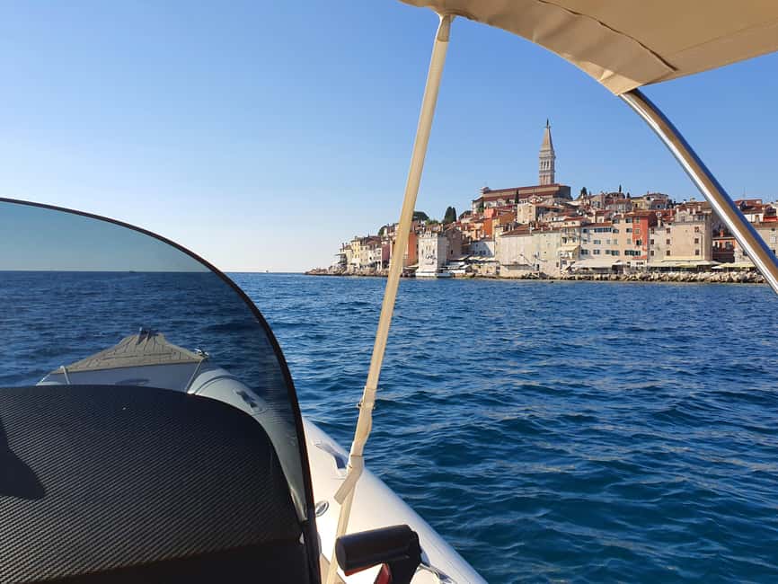 Dolphin safari every morning&evening - Skipper training and Jan’s style: why your chances improve