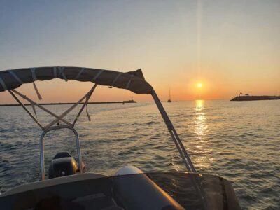 Dolphin safari every morning&evening - The 9-meter RIB boat: fast, comfortable, and built for searching