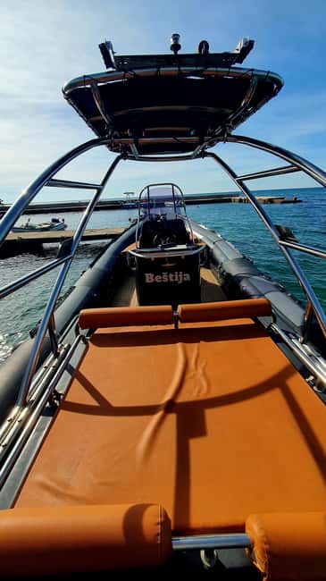 Dolphin safari every morning&evening - The sunset factor: why the evening runs are so popular