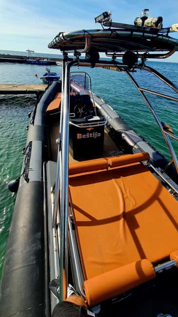 Dolphin safari every morning&evening - What to bring (and what helps you enjoy it more)
