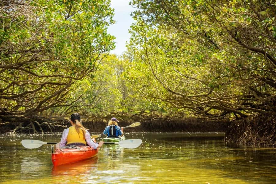 Dolphin Sanctuary and Ships Graveyard Kayak Tour - A Secluded Start Point at Garden Island (Not Downtown Adelaide)