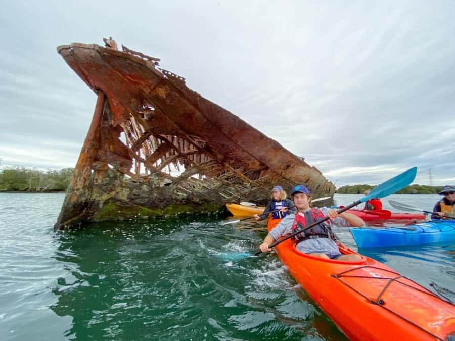 Dolphin Sanctuary and Ships Graveyard Kayak Tour - Mangroves, Birds, and a Slower Kind of Travel Time