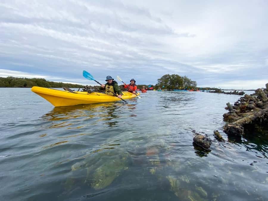 Dolphin Sanctuary and Ships Graveyard Kayak Tour - Ships Graveyard Maritime Heritage Trail and the 20 Shipwrecks