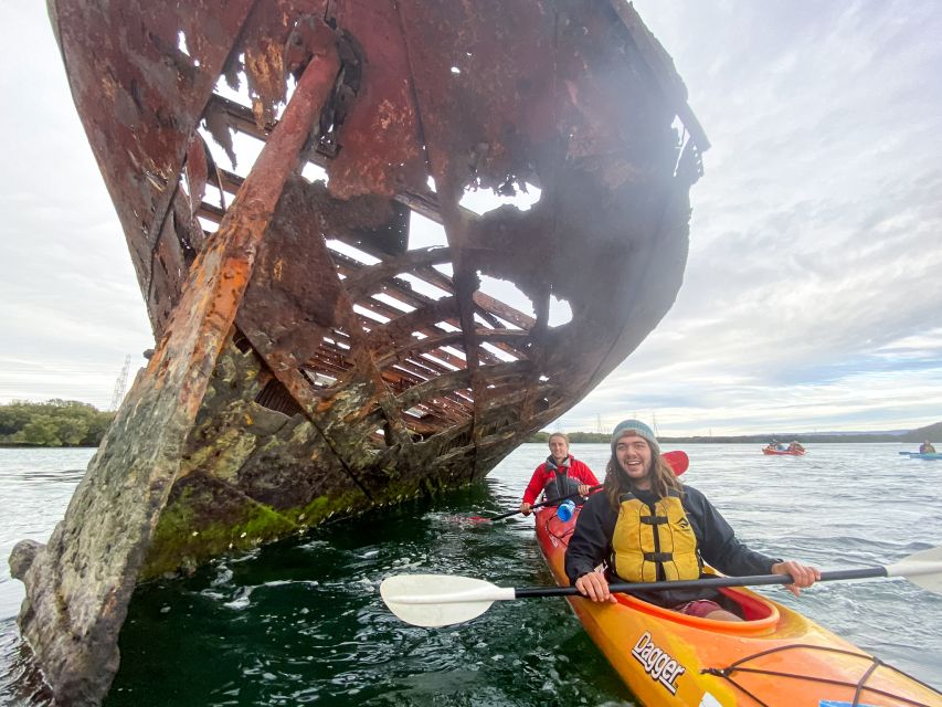 Dolphin Sanctuary and Ships Graveyard Kayak Tour - What 3 Hours Feels Like on the Water