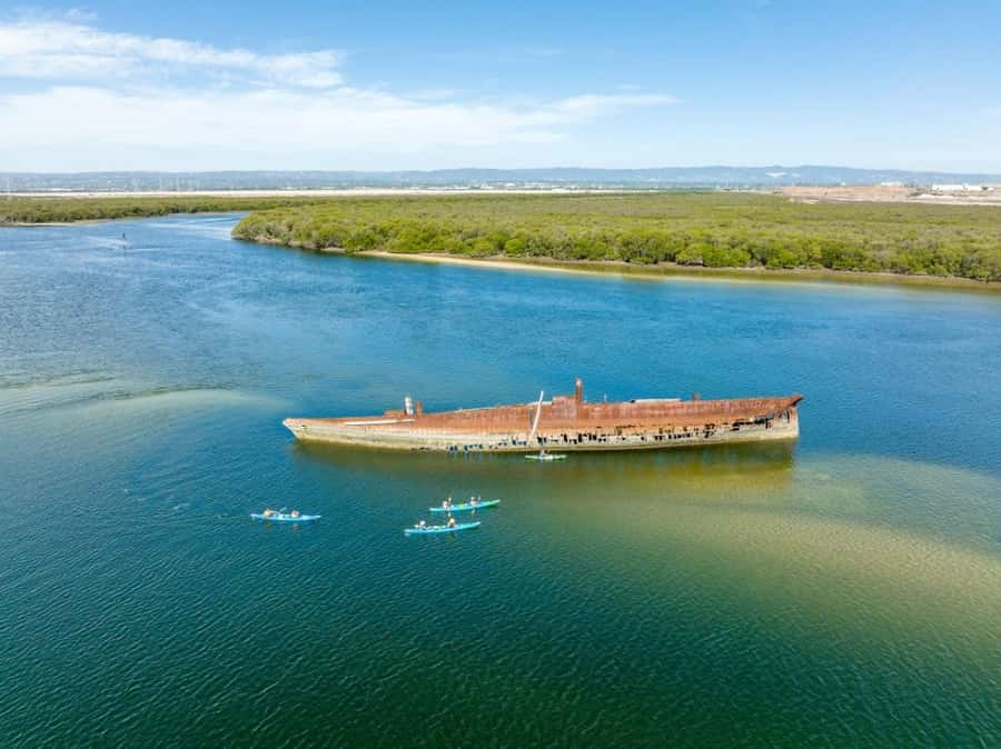 Dolphin Sanctuary and Ships Graveyard Kayak Tour - Entering the Port River: Kayak Skills You Actually Use