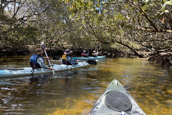 Dolphin Sanctuary Kayak Tour Adelaide - Key things I’d mark on your checklist