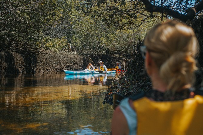 Dolphin Sanctuary Kayak Tour Adelaide - Gear and comfort that make kayaking easier in Adelaide