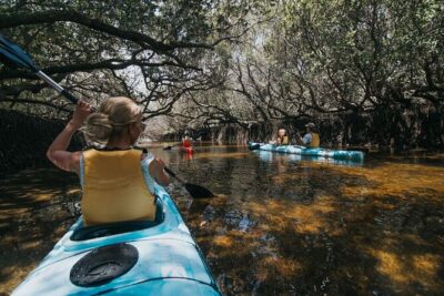 Dolphin Sanctuary Kayak Tour Adelaide - The 3-hour paddle: what the timing feels like