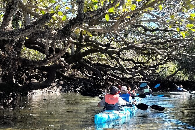 Dolphin Sanctuary Kayak Tour Adelaide - Guides make or break it, and this one shines