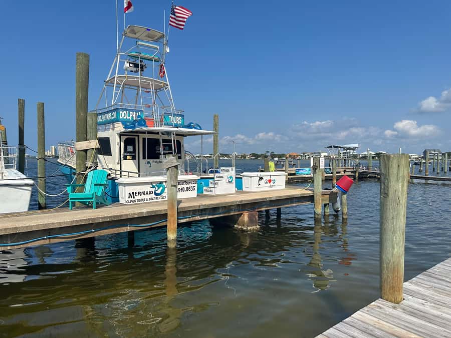Dolphin & Scenic Bay Sightseeing Cruise Up to 49, Pensacola - Key Things to Know Before You Go