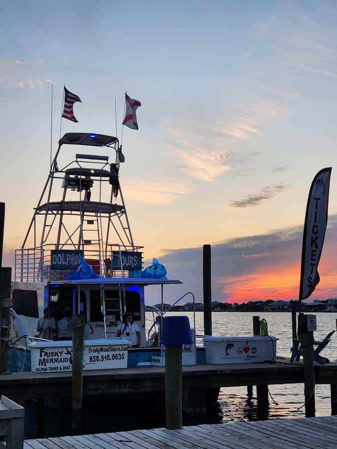 Dolphin & Scenic Bay Sightseeing Cruise Up to 49, Pensacola - Music Onboard and the Food/Drink Choices