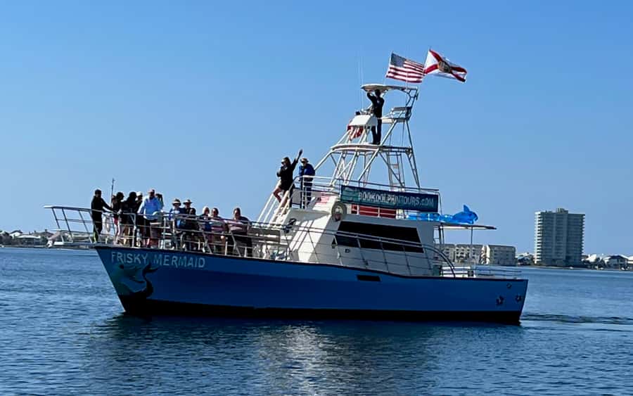 Dolphin & Scenic Bay Sightseeing Cruise Up to 49, Pensacola - Price and Value: Is $50 a Fair Deal for 1.5 Hours?