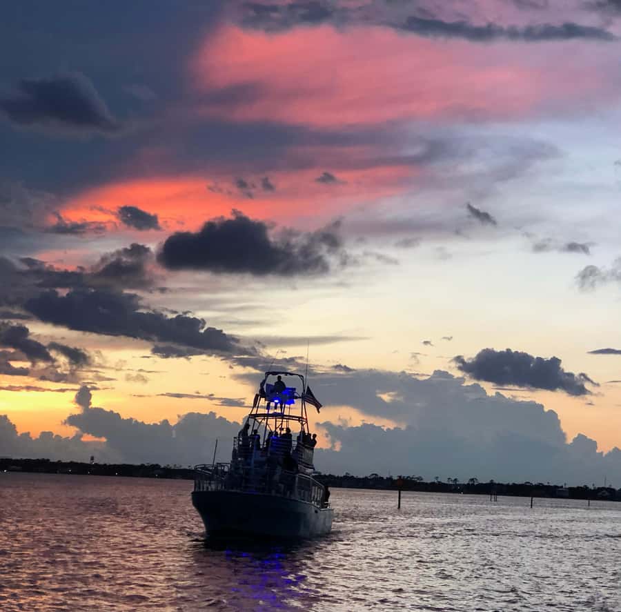 Dolphin & Scenic Bay Sightseeing Cruise Up to 49, Pensacola - Who This Pensacola Dolphin Cruise Fits Best