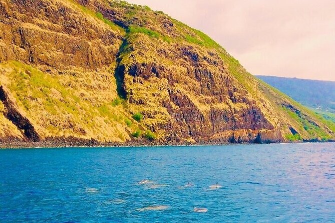 Dolphin, Sea Cave & Captain Cook Snorkel Combo in Kealakekua Bay - The snacks, water break, and local storytelling effect
