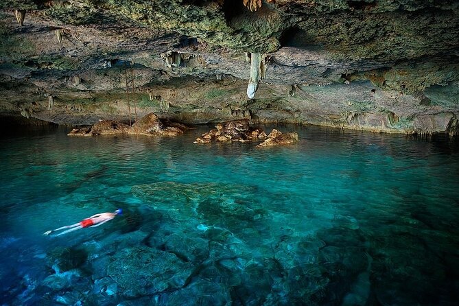 Dolphin, Sea Cave & Captain Cook Snorkel Combo in Kealakekua Bay - Captain Cook Monument reef snorkeling: what to expect once you’re in