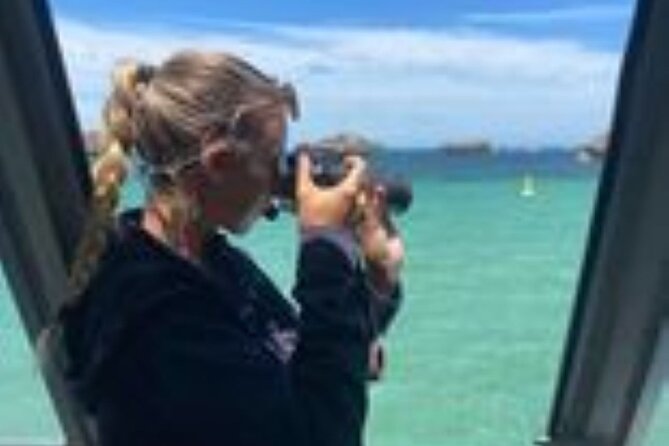 Dolphin, Sea Lion and Penguin Island Cruise - What else might you see besides penguins?