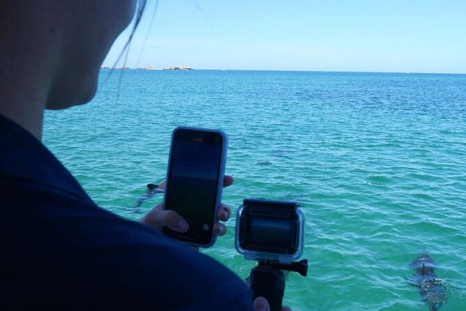 Dolphin, Sea Lion and Penguin Island Cruise - Photos on Flickr: turn your outing into a keepsake