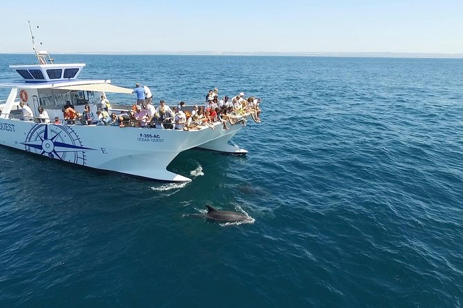 Dolphin Search - Dolphin Quest - Boat Comfort and How the Crew Runs the Hunt