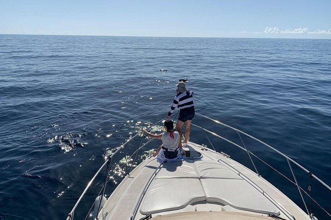 Dolphin Searching Tour in Puerto de Mogán ("KEEPER UNO" Boat) - The 4-hour dolphin search: how the day typically unfolds