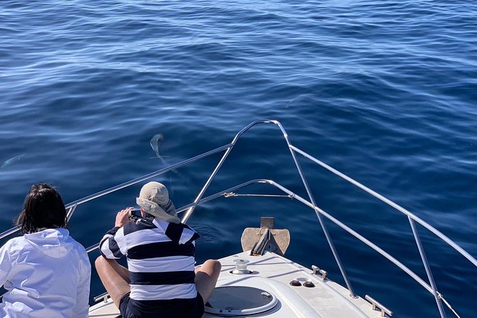 Dolphin Searching Tour in Puerto de Mogán ("KEEPER UNO" Boat) - Best match: who should book the Keeper Uno tour