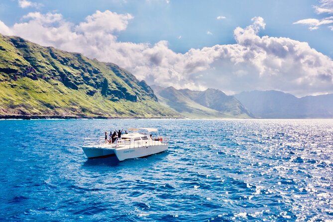 Dolphin & Seasonal Whale Watching, Turtle Snorkeling - FAQ