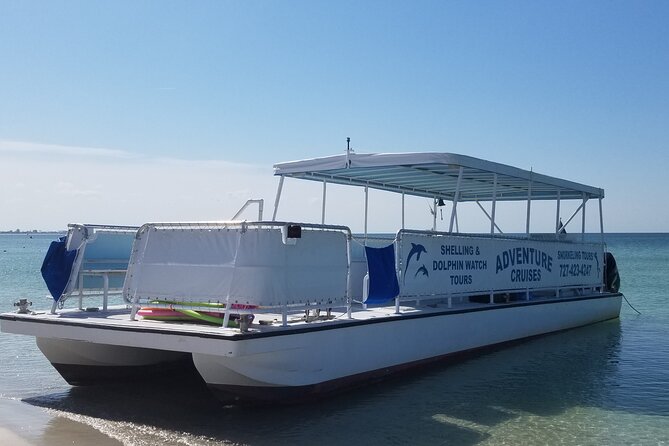 Dolphin /Shelling/Snorkeling tours Private Charters - A small-group St. Pete Beach cruise with a real mix of fun