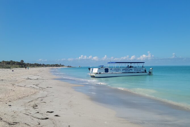 Dolphin /Shelling/Snorkeling tours Private Charters - Where you meet at 9610 Gulf Blvd and what the timing means